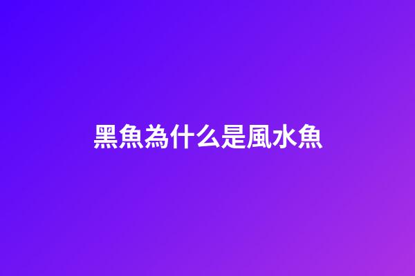 黑魚為什么是風水魚