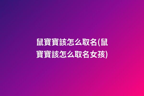 鼠寶寶該怎么取名(鼠寶寶該怎么取名女孩)