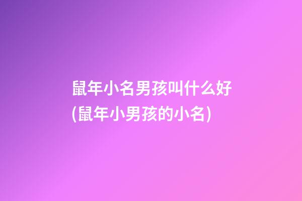 鼠年小名男孩叫什么好(鼠年小男孩的小名)