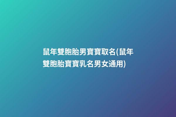 鼠年雙胞胎男寶寶取名(鼠年雙胞胎寶寶乳名男女通用)