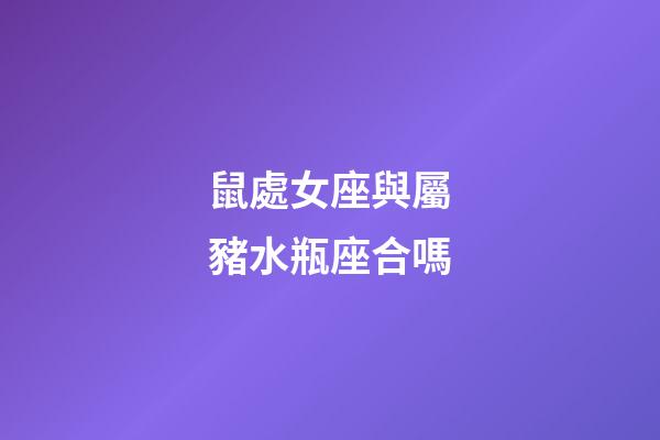 鼠處女座與屬豬水瓶座合嗎-第1張-星座運勢-玄機派