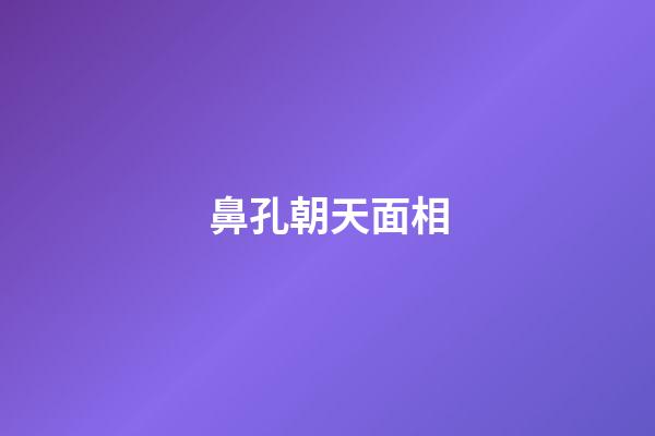 鼻孔朝天面相