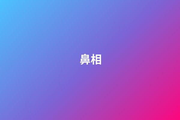 鼻相