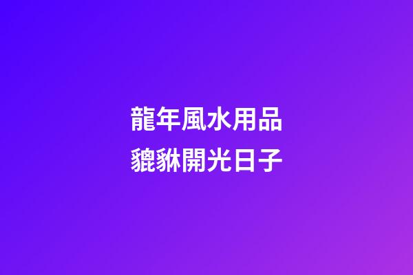 龍年風水用品貔貅開光日子