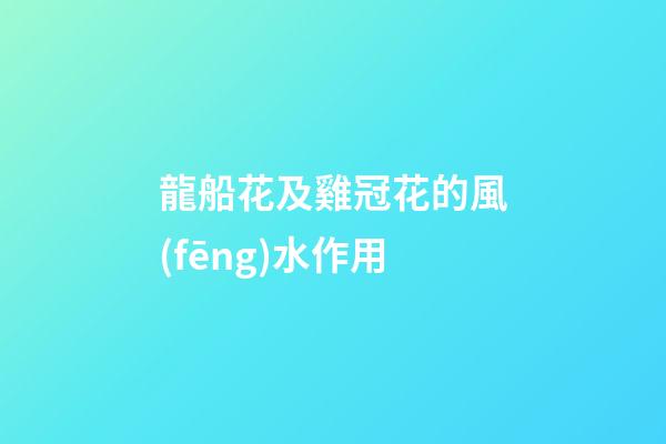 龍船花及雞冠花的風(fēng)水作用?