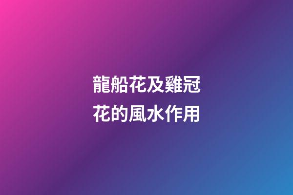 龍船花及雞冠花的風水作用?