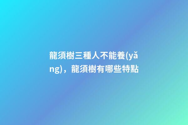 龍須樹三種人不能養(yǎng)，龍須樹有哪些特點