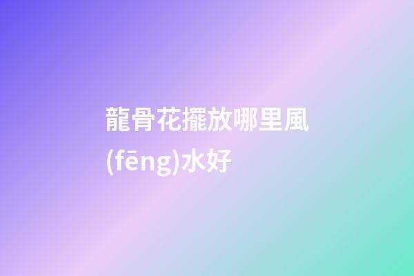 龍骨花擺放哪里風(fēng)水好