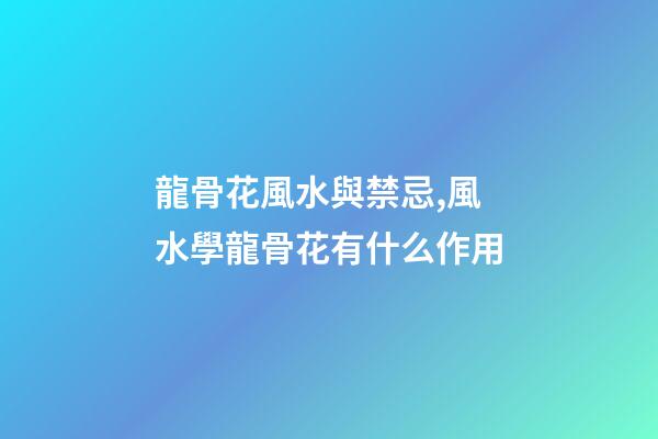 龍骨花風水與禁忌,風水學龍骨花有什么作用