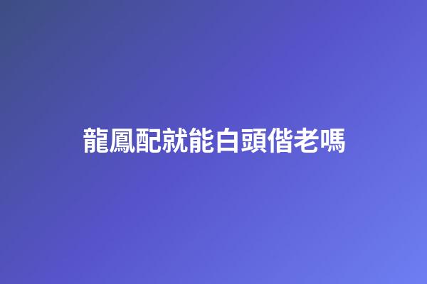 龍鳳配就能白頭偕老嗎