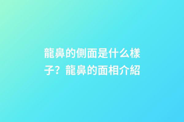 龍鼻的側面是什么樣子？龍鼻的面相介紹