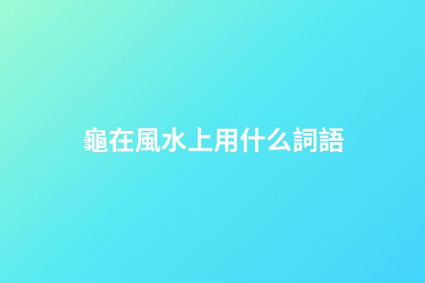 龜在風水上用什么詞語
