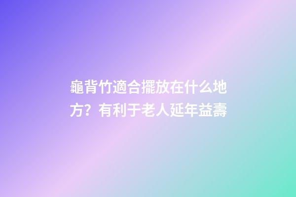 龜背竹適合擺放在什么地方？有利于老人延年益壽